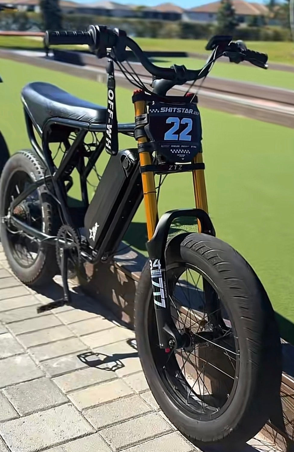 Fat tire 20x4 air forks